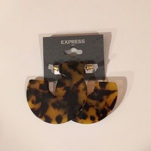 Tortoise Resin Flat Hoop Tort Earrings